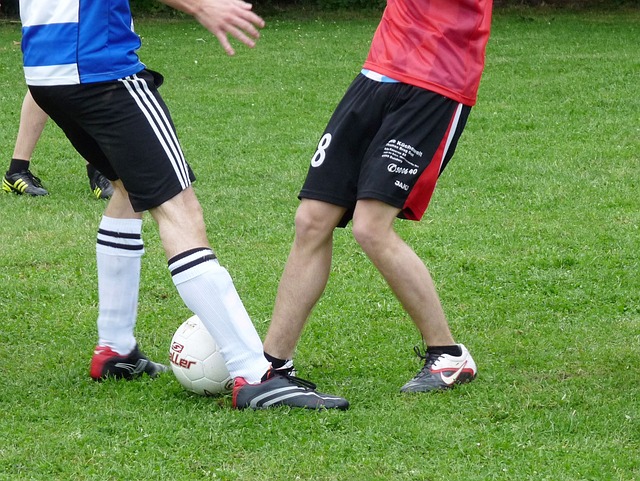 大家的关注 大家的关注