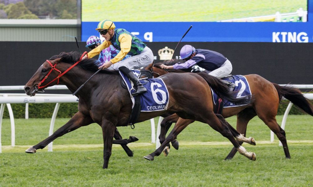 变化的局面 变化的局面