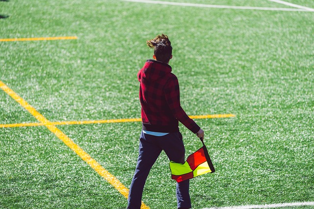 未来展望 未来展望